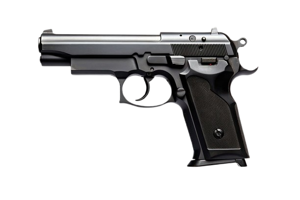 Gun