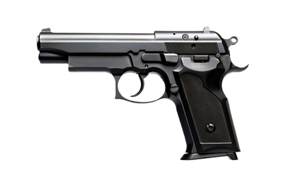 Gun