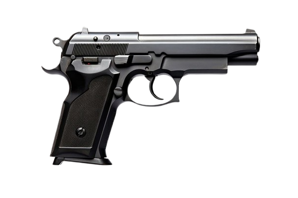 Gun
