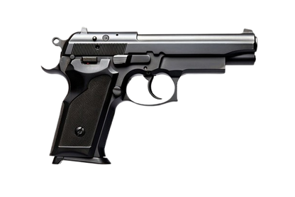 Gun